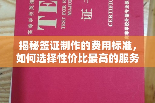 阳城揭秘签证制作的费用标准，如何选择性价比最高的服务？
